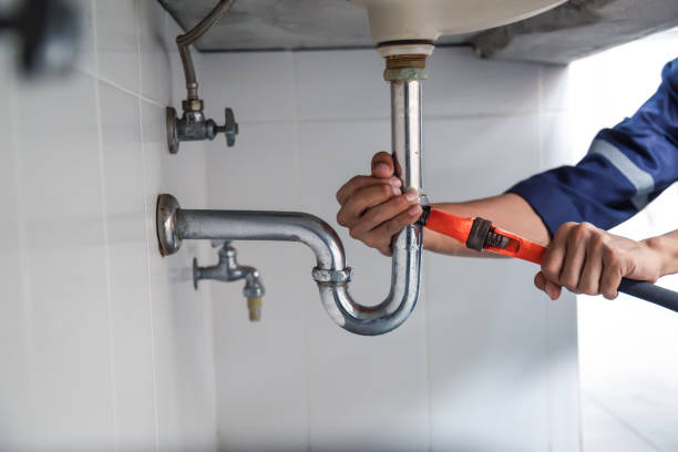 Best Commercial Plumbing Services  in Mahnomen, MN